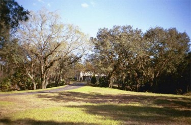Prairie Creek Estates home on a wooded lot