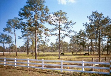 Prairie Creek Estates is perfect for horse farms
